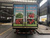 Sinotruk Howo 4x2 Refrigerator Truck-5Ton