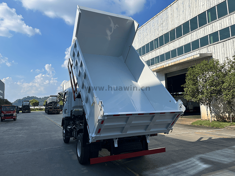 Howo 4x2 Light Duck Truck-4