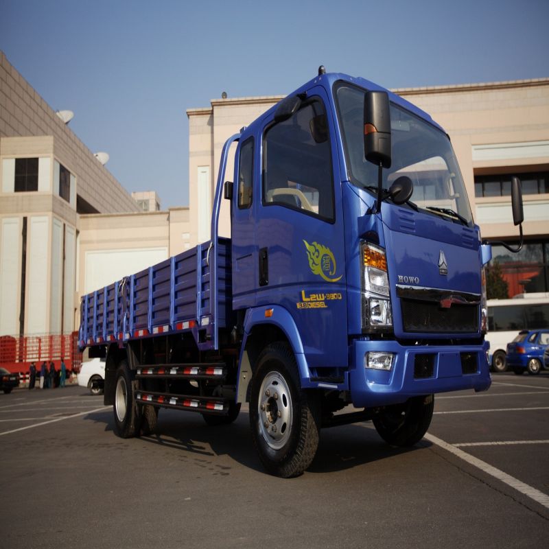 Camion de cargaison Howo 4x2 （2）