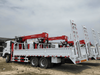 Camion de grue monté Sinotruk Howo 6x4 