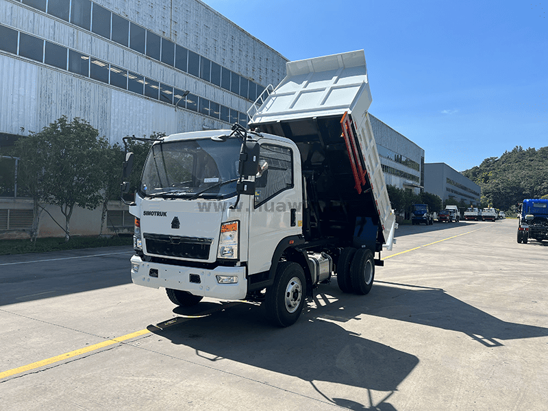 Howo 4x2 Light Duck Truck-11